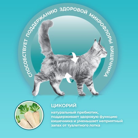 Purina One сухой корм для кошек для красивой шерсти и здоровой кожи с курицей - 750 г фото 15