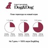 Dog&Dog Expert Premium Super-Power сухой корм для взрослых активных собак с курицей - 14 кг фото 3