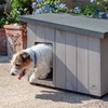 Ferplast Argo 60 будка для собак, деревянная - 69,5x54,5x52 см, 57,5x39x46 см, 17x28 см фото 3
