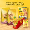 Friskies полнорационный сухой корм для домашних кошек, с курицей и полезными овощами фото 3