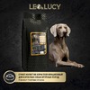 Leo&Lucy сухой полнорационный корм для пожилых собак крупных пород, с уткой, тыквой и биодобавками - 4,5 кг фото 3