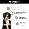 Мираторг Дентал лакомство для собак крупных пород, c говядиной - 170 г фото 3