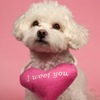 Mr.Kranch игрушка для собак мелких и средних пород, сердечко с канатом и пищалкой, розовое - 15х12х4 см фото 3