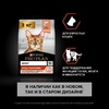 Pro Plan Original cухой корм для кошек, для поддержания здоровья органов чувств, с лососем - 3 кг фото 3