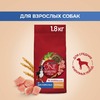 Purina ONE Adult сухой корм для собак средних и крупных пород, с курицей и рисом - 1,8 кг фото 3