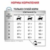 Royal Canin Hypoallergenic DR25 полнорационный сухой корм для взрослых кошек при пищевой аллергии или непереносимости, диетический фото 3
