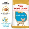 Royal Canin Chihuahua Puppy полнорационный сухой корм для щенков породы чихуахуа до 8 месяцев - 500 г фото 3
