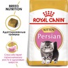 Royal Canin Kitten Persian сухой корм для котят персидской породы от 2 до 12 месяцев, беременных и кормящих кошек - 400 г фото 3