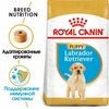 Royal Canin Labrador Retriever Puppy полнорационный сухой корм для щенков породы лабрадор-ретривер до 15 месяцев - 3 кг фото 3