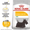 Royal Canin Mini Dermacomfort полнорационный сухой корм для взрослых и стареющих собак мелких пород при раздражениях и зуде кожи, связанных с повышенной чувствительностью фото 3