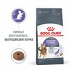 Royal Canin Appetite Control Care полнорационный сухой корм для взрослых кошек для контроля выпрашивания корма фото 3