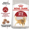 Royal Canin Fit 32 полнорационный сухой корм для взрослых кошек бывающих на улице фото 3