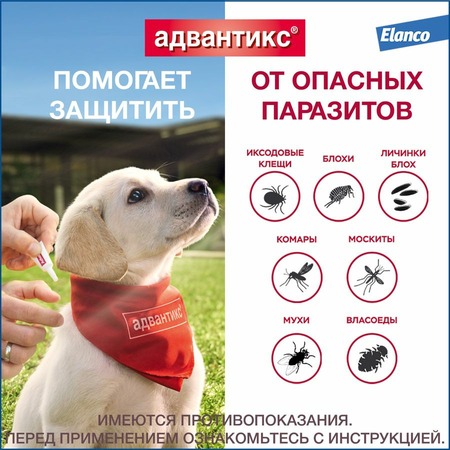 Elanco Адвантикс капли от блох, клещей и комаров для собак весом от 4 до 10 кг - 1 пипетка фото 3