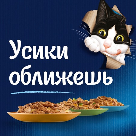 Felix Мясные ломтики влажный корм для кошек, с уткой, в соусе, в паучах - 75 г фото 3