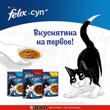 Felix влажный корм для взрослых кошек суп с курицей в паучах - 48 г х 36 шт фото 3