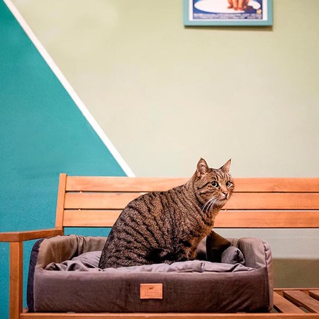 Ferplast Harris 65 диван-кровать для кошек и собак, коричневый - 64x48xh17 см фото 3
