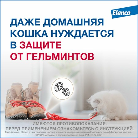 Elanco Мильбемакс таблетки от глистов для котят и молодых кошек (2 таблетки) фото 3