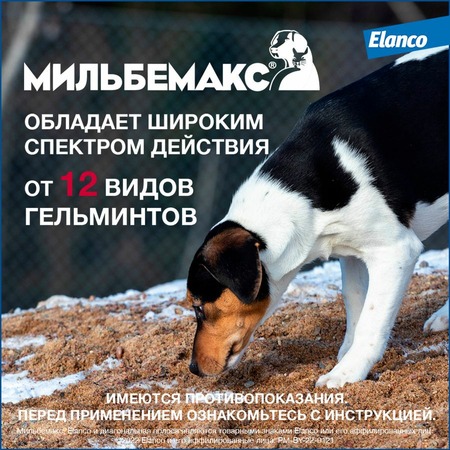 Elanco Мильбемакс таблетки от глистов для щенков и мелких собак (2 таблетки) фото 3