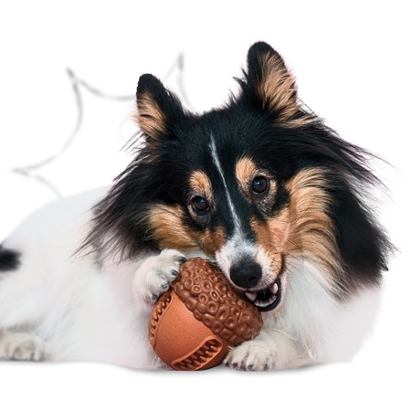 Mr.Kranch игрушка для собак, Орех с пищалкой, коричневая, с ароматом сливок, 8,5*10 см фото 3