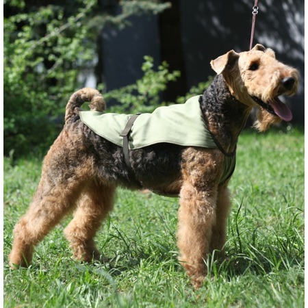 OSSO-fashion охлаждающая попона для собак и кошек, зеленая, 40 р, 40х44 см фото 3