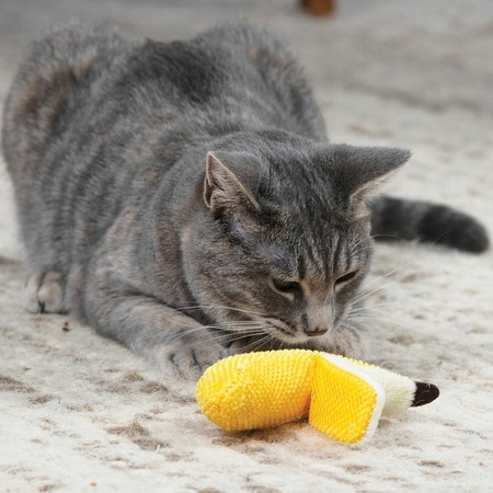 Petstages Dental игрушка для кошек, банан, с кошачьей мятой фото 3