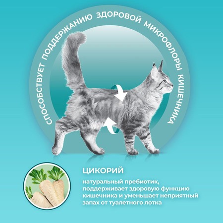 Purina One для кошек, с чувствительным пищеварением и разборчивым вкусом в еде, с индейкой - 750 г фото 3
