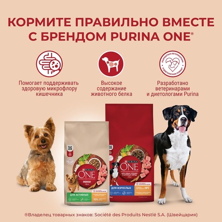 Purina One Мини для активных собак мелких пород, с курицей и рисом - 1,5 кг фото 3