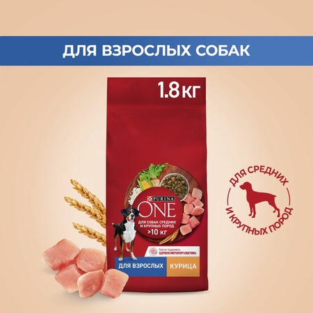 Purina ONE Adult сухой корм для собак средних и крупных пород, с курицей и рисом - 1,8 кг фото 3
