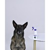 АВЗ Барс спрей инсектоакарицидный для собак - 200 мл фото 4