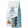 Brit Сare Dog Puppy&Junior L Healthy Growth сухой корм для щенков крупных пород, с индейкой и ягнёнком - 1,5 кг фото 4