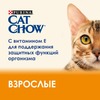 Cat Chow полнорационный влажный корм для кошек, с лососем и зеленой фасолью, кусочки в желе, в паучах - 85 г фото 4