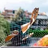 Ferplast Cat Net M защитная сетка на балкон, нейлон - 400xh300 см фото 4