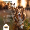 Happy Daily для собак, с ГОВЯДИНОЙ, кусочки в соусе, в консервах - 970 г фото 4