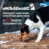 Elanco Мильбемакс таблетки от глистов для взрослых крупных собак (2 таблетки) фото 4
