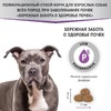 Мираторг Expert Renal полнорационный сухой корм для собак «Бережная забота о здоровье почек» - 1,5 кг фото 4