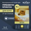 Mr. Buffalo Kitten полнорационный сухой корм для котят, с курицей фото 4