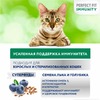 Perfect Fit Immunity сухой корм для поддержания иммунитета кошек, с говядиной, семенами льна и голубикой - 5,5 кг фото 4