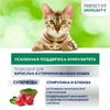 Perfect Fit Immunity сухой корм для кошек для укрепления иммунитета, с индейкой, спирулиной и клюквой - 580 г фото 4