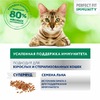 Perfect Fit Immunity влажный корм для поддержания иммунитета кошек, с говядиной и семенами льна в желе, в паучах - 75 г х 28 шт фото 4