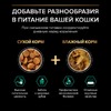 Pro Plan Sterilised Adult Renal Plus для взрослых стерилизованных кошек, с индейкой - 1,5 кг фото 4