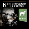 Сухой корм Pro Plan Opti Digest для взрослых собак cредних пород с чувствительным пищеварением с ягненком и рисом - 3 кг фото 4
