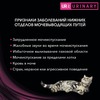 Влажный корм Pro Plan Veterinary Diets для взрослых кошек при болезни нижних отделов мочевыводящих путей, с лососем - 10x85 г = 850 г фото 4