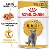 Royal Canin British Shorthair Adult полнорационный влажный корм для взрослых кошек породы британская короткошерстная, кусочки в соусе, в паучах - 85 г фото 4