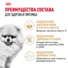 Royal Canin Pomeranian Adult полнорационный сухой корм для взрослых собак породы померанский шпиц старше 8 месяцев фото 4