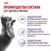 Royal Canin Sterilised 7+ полнорационный сухой корм для пожилых стерилизованных кошек с 7 до 12 лет фото 4