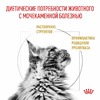Royal Canin Urinary Urinary S/O полнорационный сухой корм для взрослых кошек способствующий растворению струвитных камней, диетический - 1,5 кг фото 4