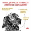 Royal Canin Urinary S/O LP 18 Canine полнорационный сухой корм для взрослых собак при лечении и профилактике мочекаменной болезни, диетический фото 4