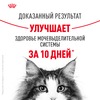 Royal Canin Urinary Care полнорационный сухой корм для взрослых кошек для поддержания здоровья мочевыделительной системы фото 4