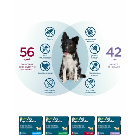 АВЗ Okvet ExpressTabs таблетки для собак от 15 до 30 кг от клещей, блох, вшей, круглых и ленточных гельминтов со вкусом мяса - 2 таблетки фото 4
