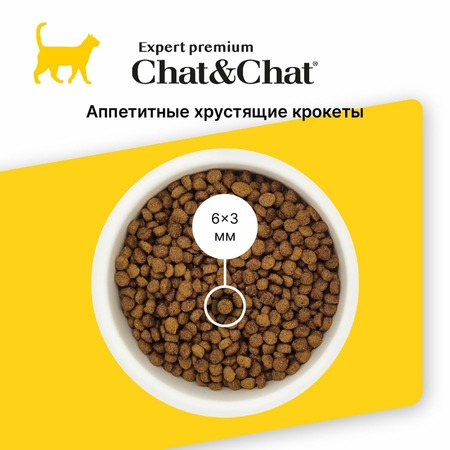 Chat&Chat Expert Premium Kitten сухой корм для котят, с курицей фото 4